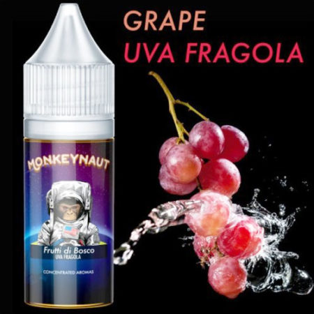 FRUTTI DI BOSCO (Uva Fragola) - Aroma Concentrato 10ml - MonkeyNaut