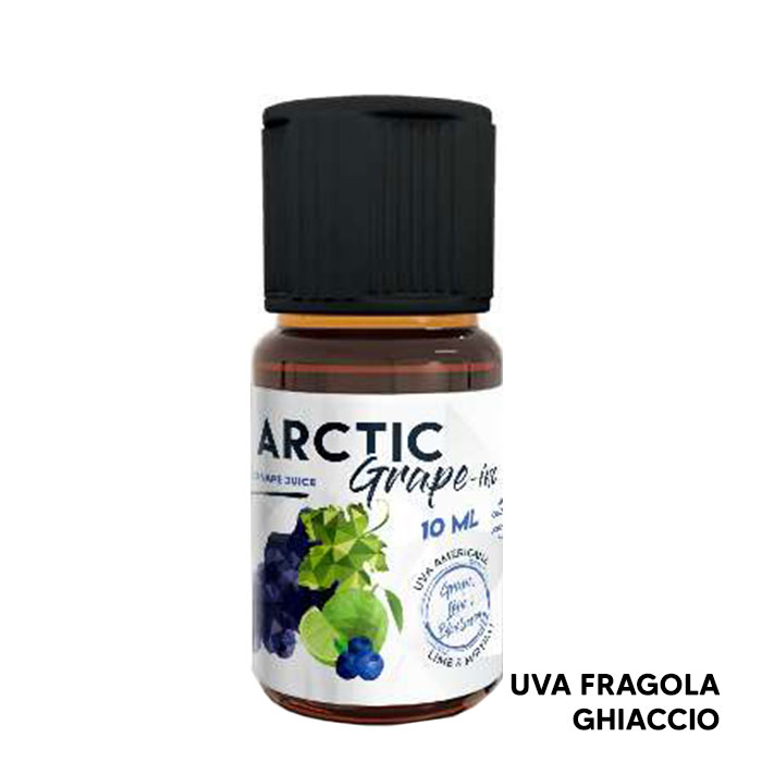 Arctic GRAPE ino - Aroma Concentrato 10ml - Enjoy Svapo